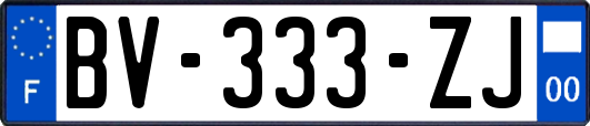 BV-333-ZJ