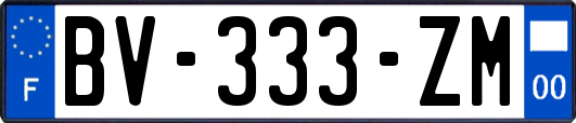 BV-333-ZM