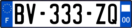 BV-333-ZQ