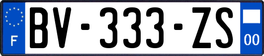 BV-333-ZS