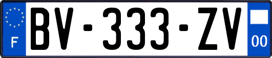 BV-333-ZV