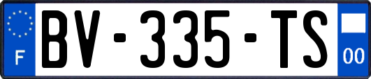 BV-335-TS