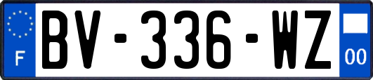 BV-336-WZ