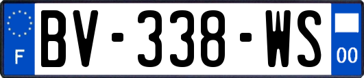 BV-338-WS