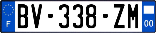 BV-338-ZM