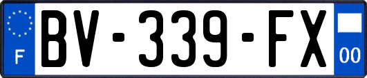 BV-339-FX
