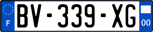 BV-339-XG