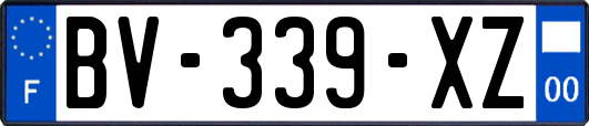 BV-339-XZ