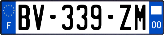 BV-339-ZM