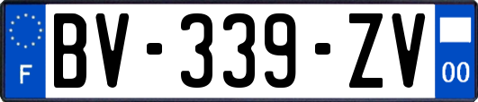 BV-339-ZV