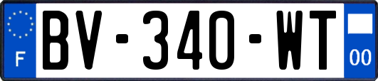 BV-340-WT