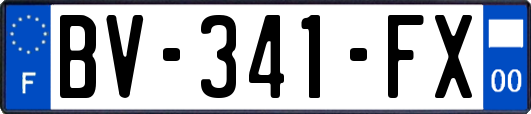 BV-341-FX
