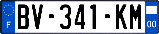 BV-341-KM