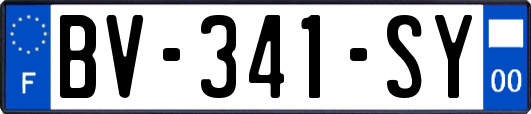 BV-341-SY