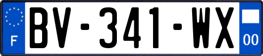 BV-341-WX