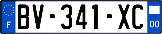 BV-341-XC