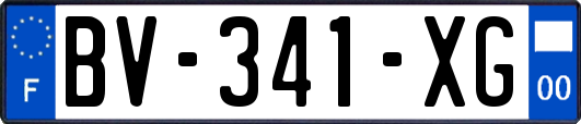 BV-341-XG