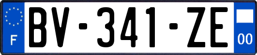 BV-341-ZE