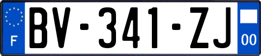 BV-341-ZJ