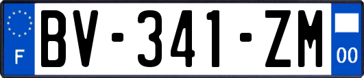 BV-341-ZM