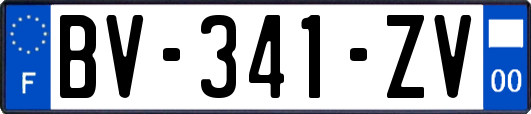 BV-341-ZV