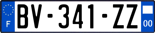 BV-341-ZZ