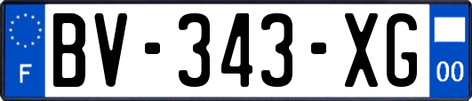 BV-343-XG