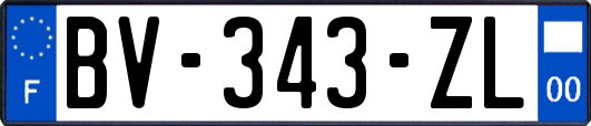 BV-343-ZL