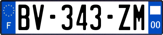 BV-343-ZM