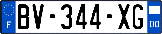 BV-344-XG