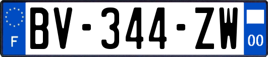 BV-344-ZW