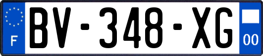BV-348-XG