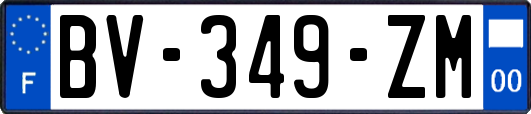 BV-349-ZM