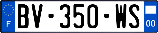 BV-350-WS