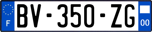 BV-350-ZG