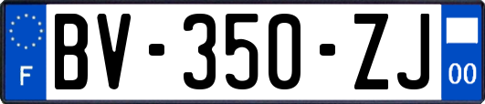 BV-350-ZJ