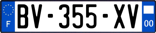 BV-355-XV