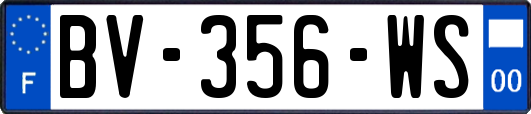 BV-356-WS