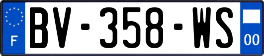 BV-358-WS