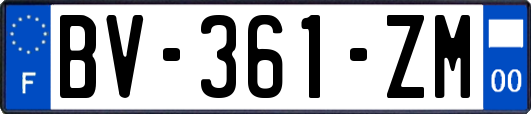 BV-361-ZM