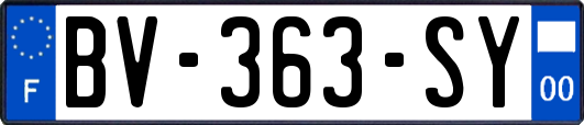 BV-363-SY