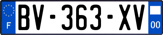 BV-363-XV