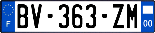 BV-363-ZM