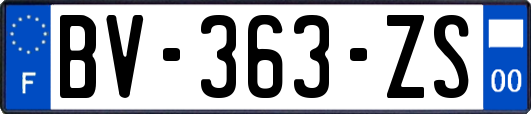 BV-363-ZS