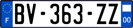 BV-363-ZZ