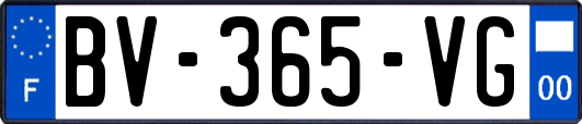 BV-365-VG
