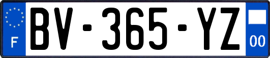 BV-365-YZ