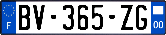 BV-365-ZG