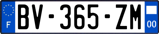 BV-365-ZM