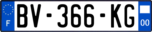 BV-366-KG